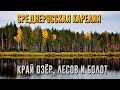 СРЕДНЕРУССКАЯ КАРЕЛИЯ | Край озёр, лесов и болот [4K 60 fps]