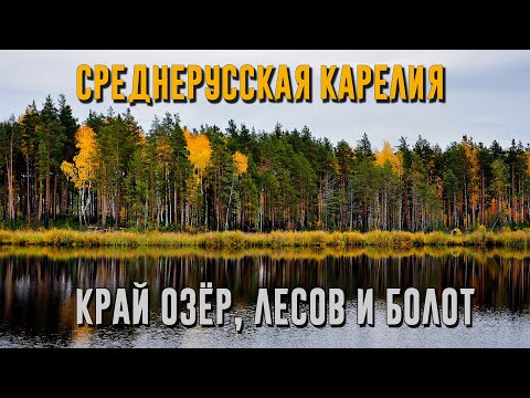 СРЕДНЕРУССКАЯ КАРЕЛИЯ | Край озёр, лесов и болот [4K 60 fps]