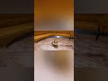 سيف صنع أسد الله قبل 300 عام mp3