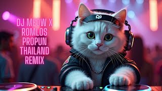 Download Lagu Dj Meow X ROMLOS PROPUN THAILAND REMIX MP3