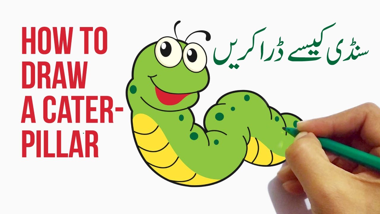 How to draw a Caterpillar | سنڈی کیسے ڈرا کریں | Step by step Caterpillar drawing and coloring