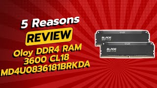 OLOy DDR4 RAM 16GB (2x8GB) Black Hairline Blade RGB 3600MHz CL18 | 5 Reasons NOT to Buy ⚠️