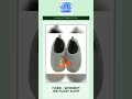 Tiger - Women's House Fuzzy Slippers