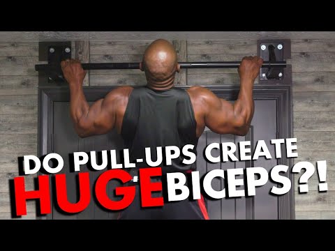 Do PULL-UPS Create HUGE BICEPS?!