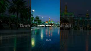 Dam Hama Dam Ali Ali | Lyrics Status | ibbu.12 | #karbala #muharram #ali #lyrics #shorts |