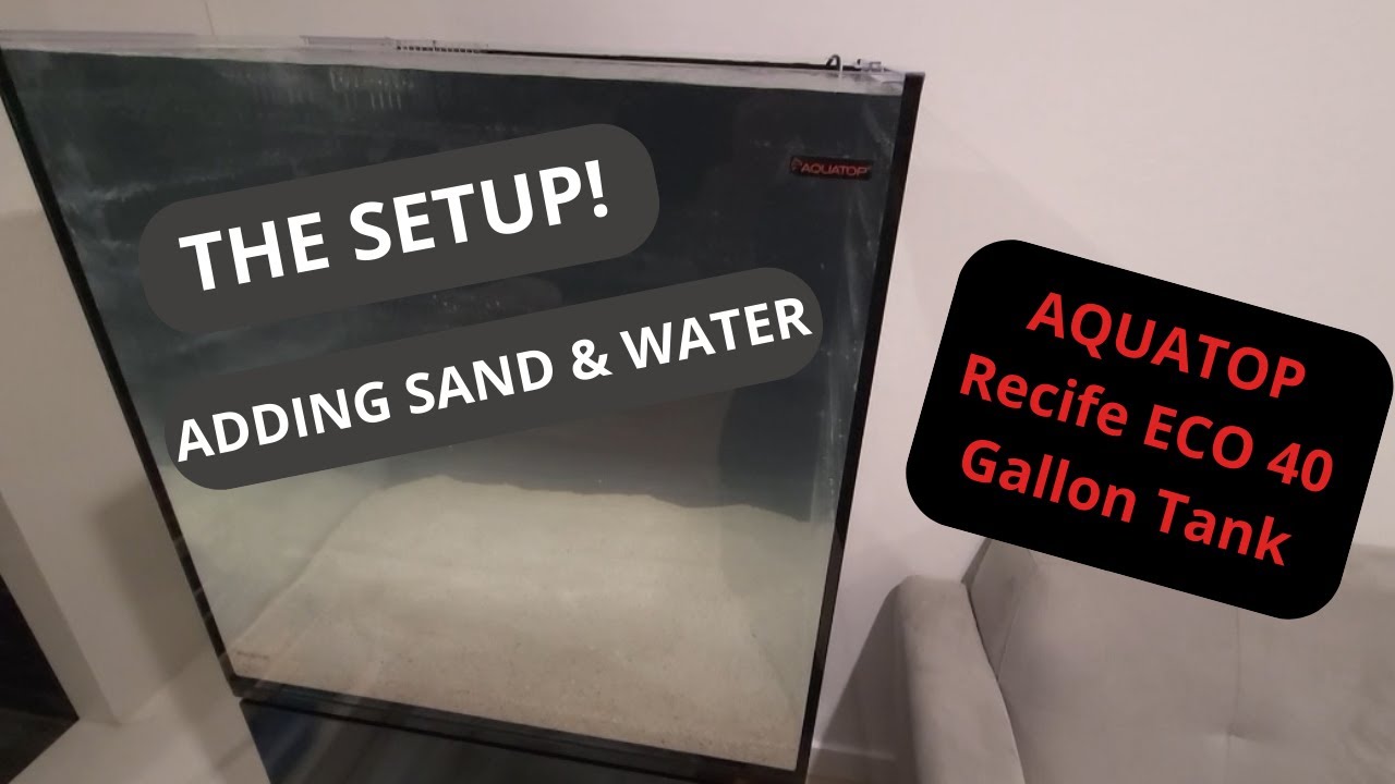THE SETUP! My NEW AQUATOP Recife ECO 40 Gallon Tank! YouTube