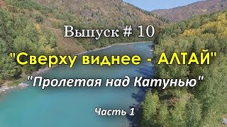 река Катунь, где нет дорог и деревень, только глухая тайга/Аэросъемка FHD.
