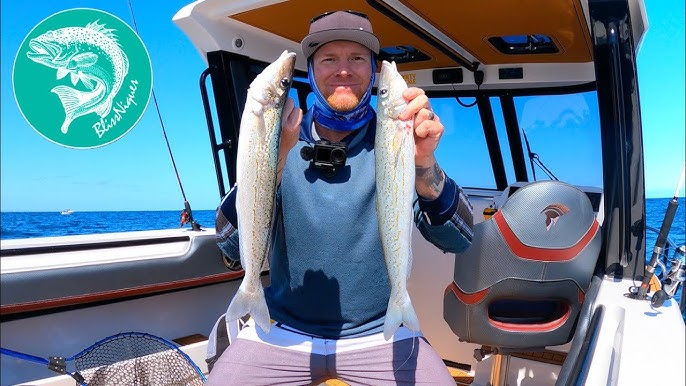 King George Whiting Fishing Perth: Ultimate Guide for Big Catches