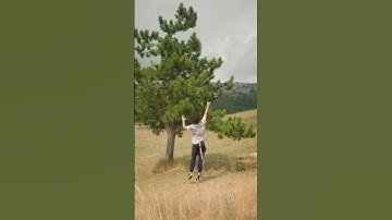 Crashing on a tree be like #tinywhoop #fpv #drone #crash #fail