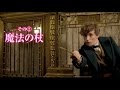「ファンタスティック・ビーストと魔法使いの旅」オンラインスポット（魔法編）