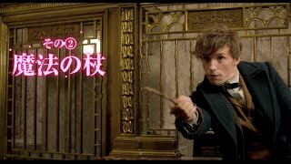 映画『ファンタスティック・ビーストと魔法使いの旅』オンラインSPOT（魔法編）【HD】2016年11月23日公開