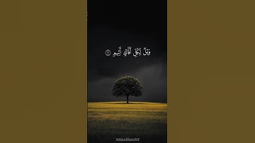 سورة الجاثية 🤍 #سورة_الجاثية #quran