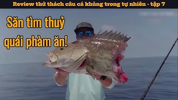 Săn tìm thuỷ quái phàm ăn | Review thử thách câu cá khủng trong tự nhiên - tập 7