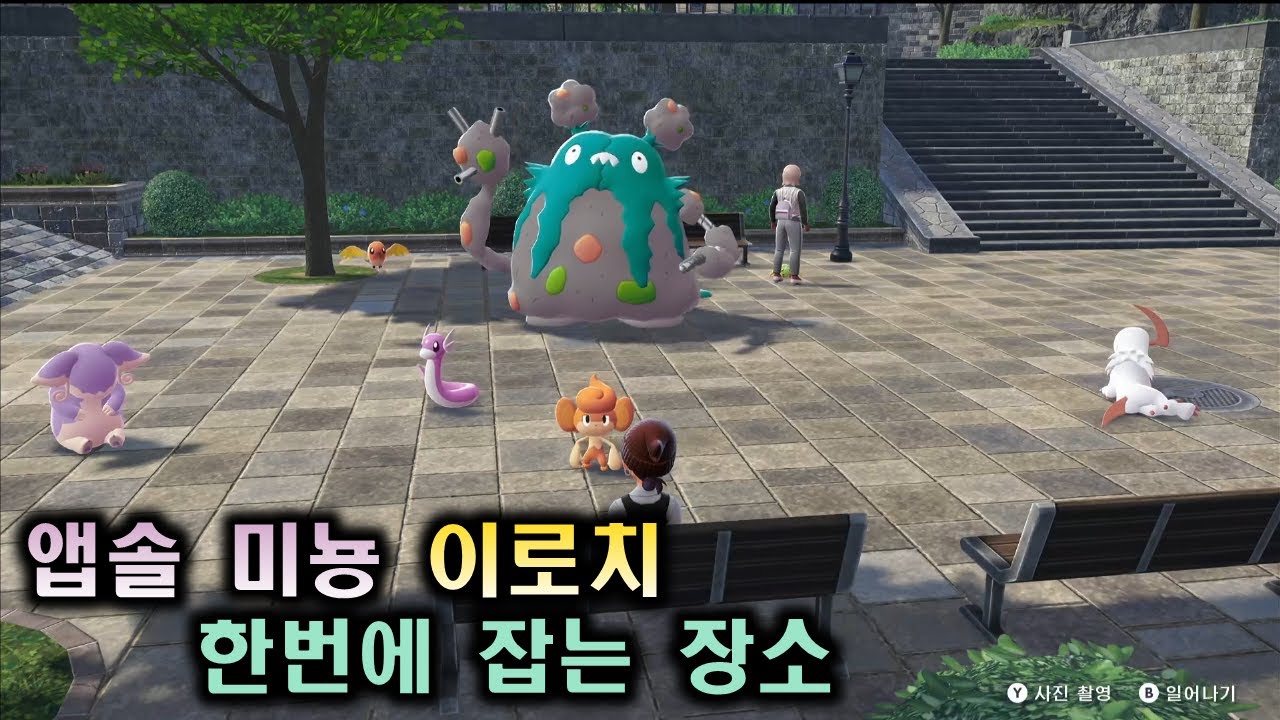 [포켓몬스터 레전즈 za] 앱솔 미뇽 이로치 벤치작 장소 추천