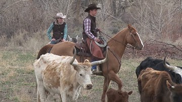 Ken McNabb: Cattle Sorting & Trailer Loading Exercises for You & Your Horse