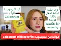 معجزة لبن السرسوب أو اللبأ لتقوية المناعة والأمراض المناعية Colostrum Milk Benefits For Immunity معجزة لبن السرسوب أو اللبأ لتقوية المناعة والأمراض المناعية Colostrum Milk Benefits For Immunity