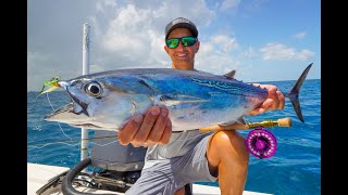 Giant Bait Caught on FLY ROD! (False Albacore)