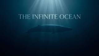 THE INFINITE OCEAN— deep ocean ambient for sleep and meditation