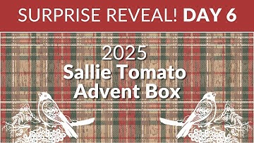 Unboxing Day 6 of the 2025 Sallie Tomato Hearth and Handcrafted Advent Box!