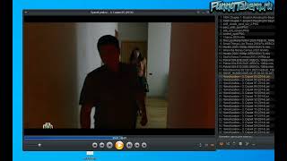 Zoom player не показывает субтитры. Что делать? screenshot 4