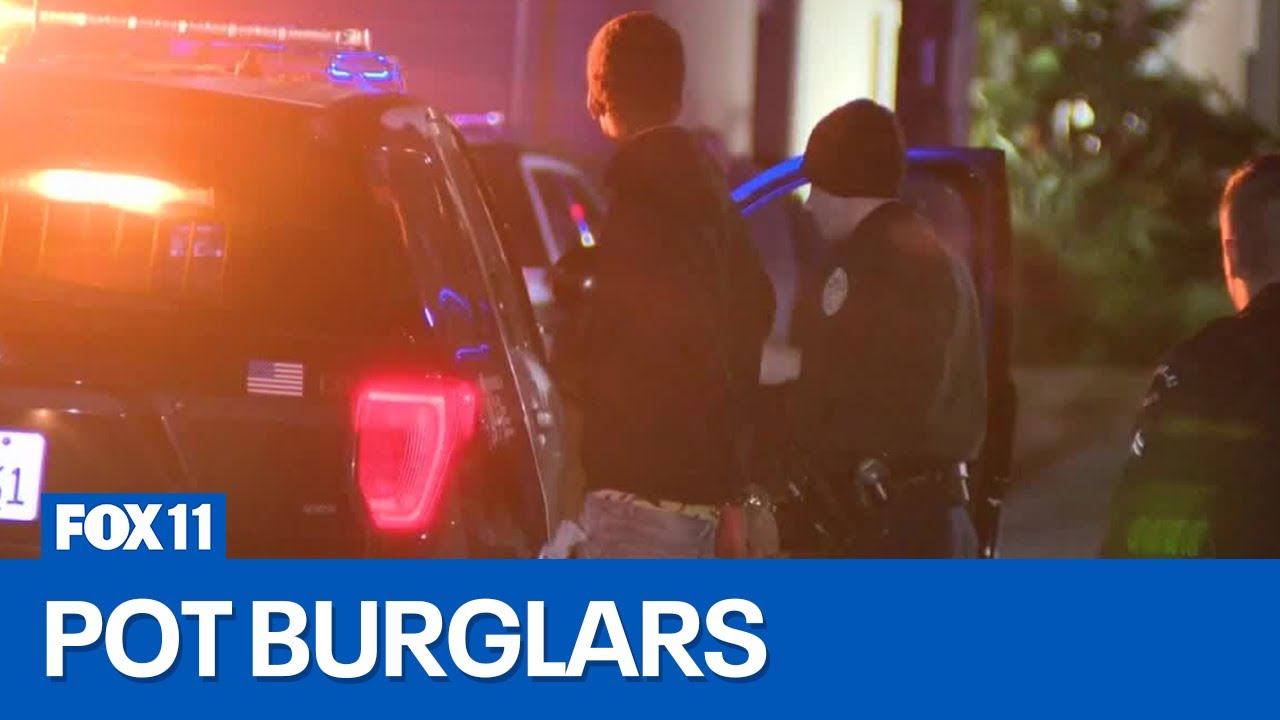 LAPD searching for pot dispensary burglary suspects