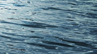Missouri Highway investigates swimmers struck by personal watercraft on Pomme de Terre Lake follo...