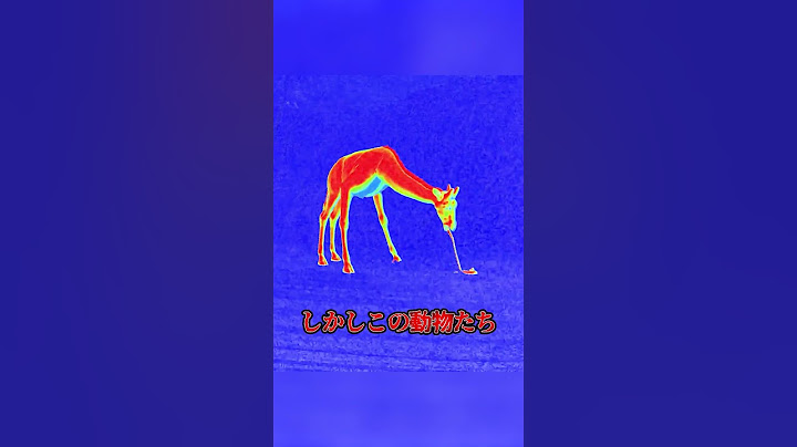 【ホラーゲーム紹介】恐怖の動物園で働くホラーゲーム【Zoochosis】#shorts