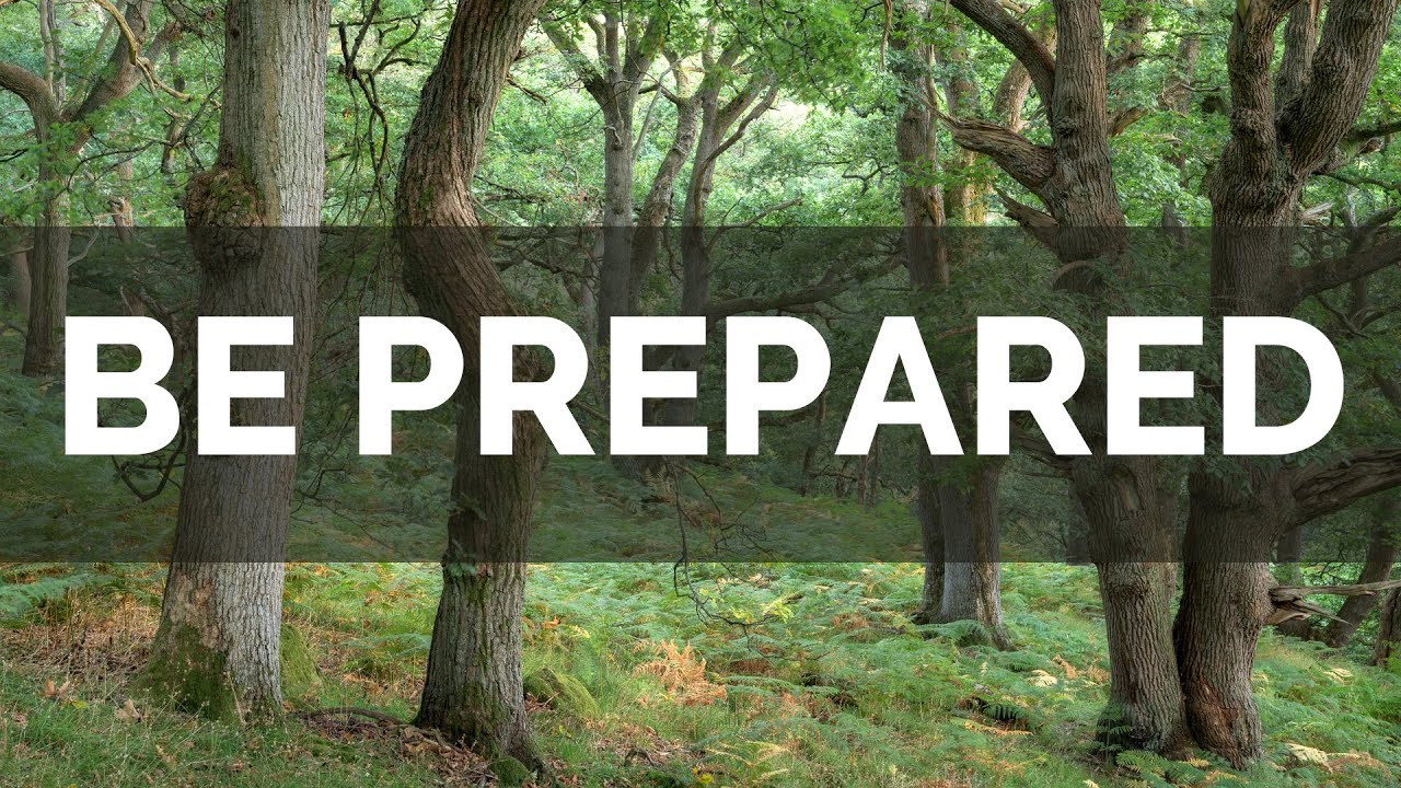 Autumn Woodland Photography - Be Prepared