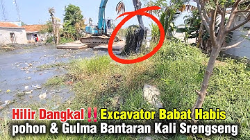 Hilir Dangkal‼️ Excavator Babat Habis pohon & Gulma Bantaran Kali Srengseng #dedimulyadi
