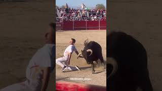 Quiebro David Ramírez El Peque Talamanca Jarama Toro Bravo #Shorts (2)