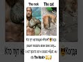 Кто тут настоящий «Рок»? 😎 #funny #юмор #прикол #шуточное #ржака #ржач #анекдоты #мем #смешновидео
