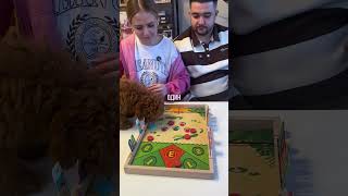 Выбибашки #настольныеигры #boardgames #настолки #игрыдлядетей #games