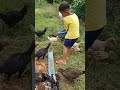 it's time to eat #pets #chicken #shorts