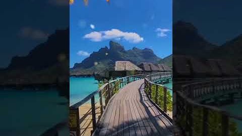 القارئ: عبد الرحمن مسعد ـ تلاوة عطرة💙