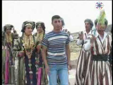 لا تيلاخ نديم القوشي