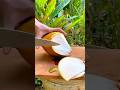 A Practical Way to Peel and Cut a Young Coconut Fruit Using a Sharp Knife #shorts