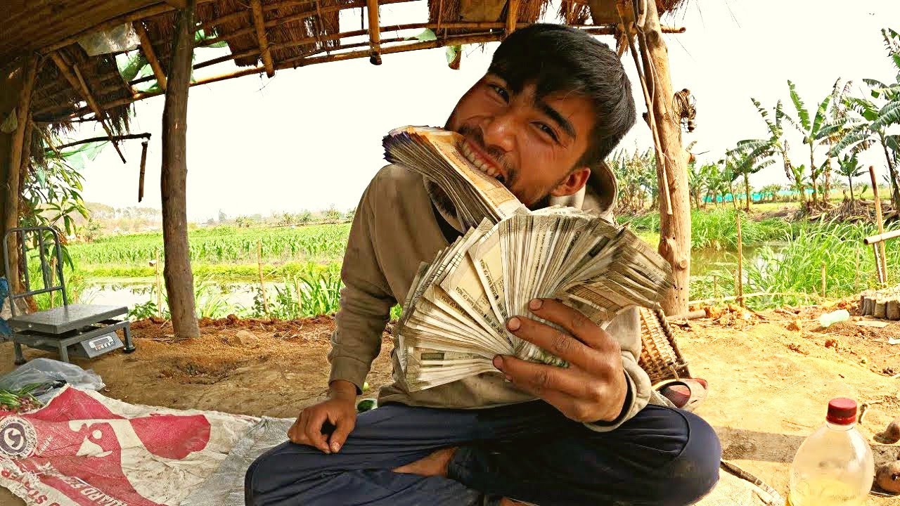 Money counting For Potato After 3 month