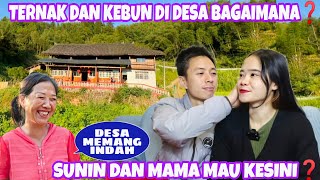 WHO TAKES CARE OF THE LIVESTOCK AND GARDENS IN THE VILLAGE, WHERE ARE MAMA AND SUNIN?