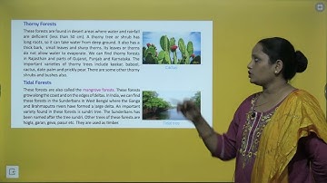 CHAPTER 13 FORESTS AND WILDLIFE | SST CLASS 4