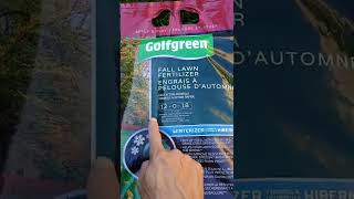 Fall lawn fertilization#秋天草坪施肥#Lawn Care#草坪维护