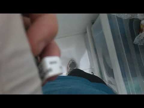 Timex Compass -