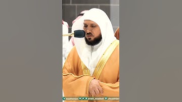 تلاوة نادرة جداً تبكي السامعين💔 لفضيلة الشيخ د. ماهر المعيقلي || ويوم يعض الظالم على يديه
