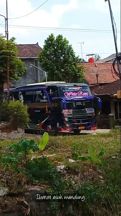 Story WhatsApp PINGAL Denny Caknan.  #storybus #poharyanto