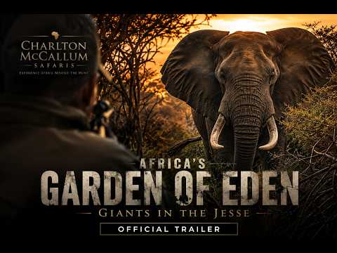 Africa's Garden of Eden Giants in the Jesse - YouTube