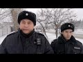 В Омске сотрудники патрульно-постовой службы полиции помогли в спасении раненой косули