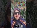 الاعلامية داليا المسلمي تهني كل سنه وانت طيب يا احمد 