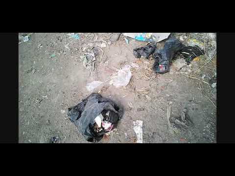شوف مهزله سوق الخميس بشبراخيت بخيرة وعايزين نعرف فين سوق الوحده المحليه لمركز ومدينه شبراخيت