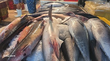 chợ bình điền cá mực vô quá nhiều đồ rẻ lại quá ngon