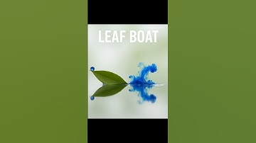 Leaf boat powered by pen ink ⛵#science #shorts #boat