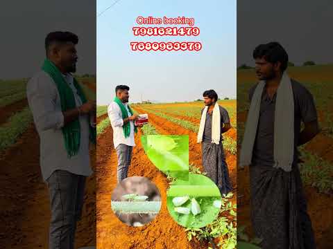 All in one ct combo #telugutomato #agriculture #tsfarmers #agriculturefarming #tamoto #farmer